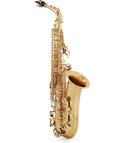 王*子様 YAMAHA アルトサックス ヤマハ | YAS-62 - サクソフォン - 概要